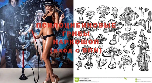 синтетический гашиш Алексеевка