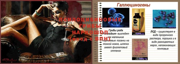 синтетический гашиш Алексеевка