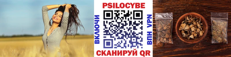 Галлюциногенные грибы MAGIC MUSHROOMS Жиздра